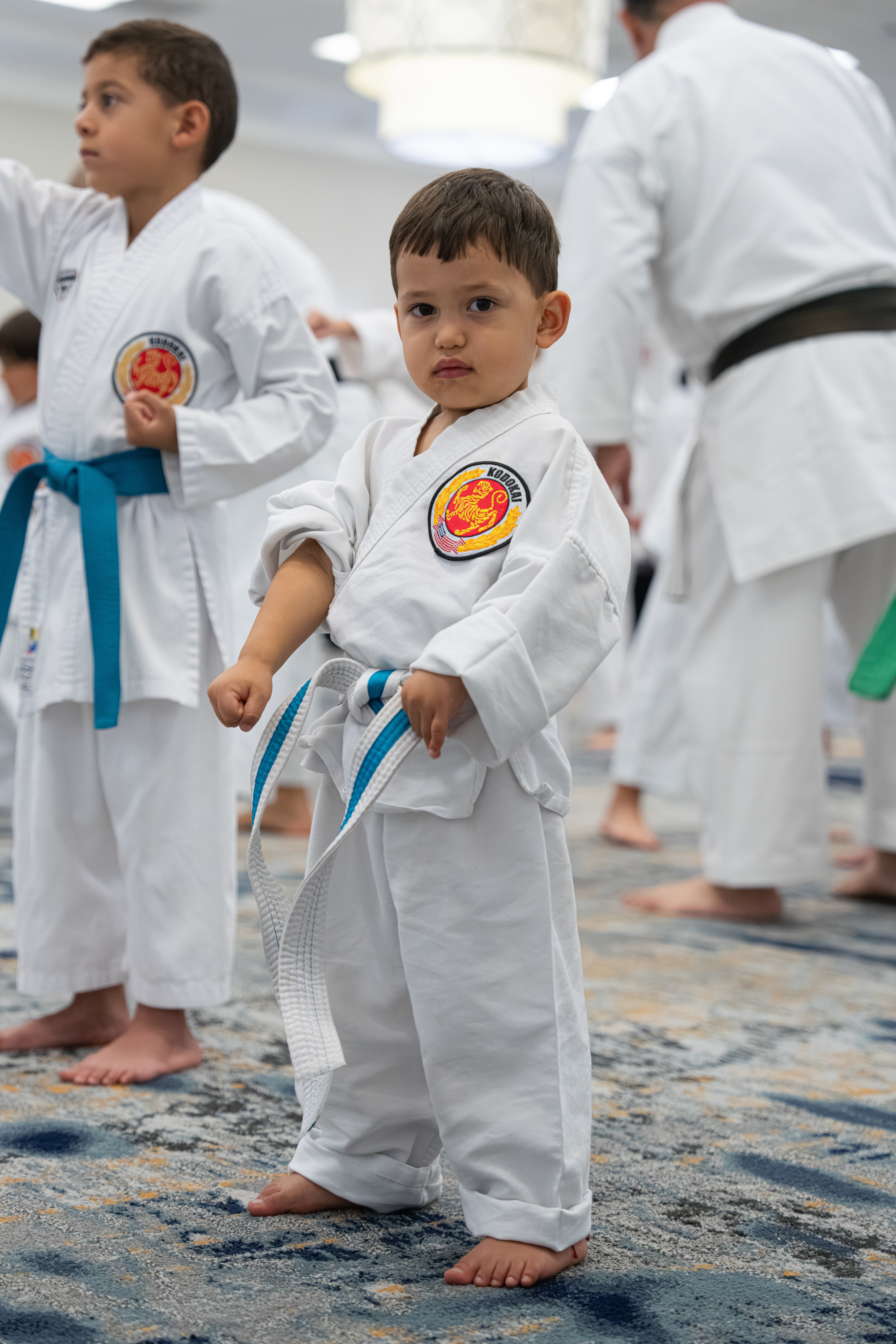 Alejandro Abreu-silva